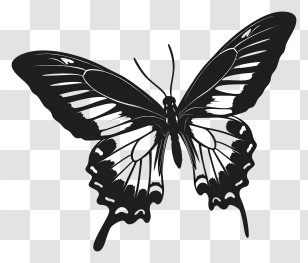 Butterfly Silhouette - Black Butterfly Silhouette Art For Decoration Transparent PNG