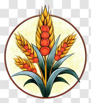 Harvest - Wheat With Grains Transparent PNG