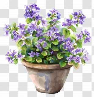 Lilac Flowers - Beautiful Purple Flowers In Decorative Flowerpot Transparent PNG