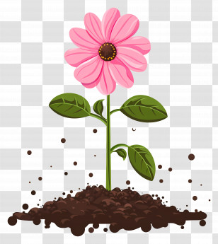 Pink Flower - Pink Flower Blooming In Soil Illustration Transparent PNG