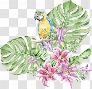 Watercolor Flower Background - Paint Transparent PNG