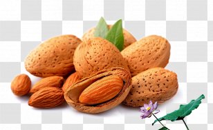 Almond Stuffing Nut Dried Fruit - Batan Wood Nuts Transparent PNG