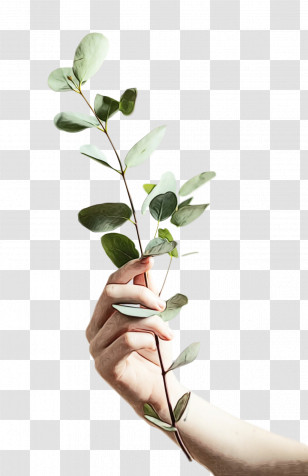 Painting Canvas Drawing Fine-art Photography Still Life Transparent PNG