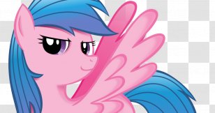 Pony Horse Derpy Hooves Rainbow Dash Rarity - Frame Transparent PNG