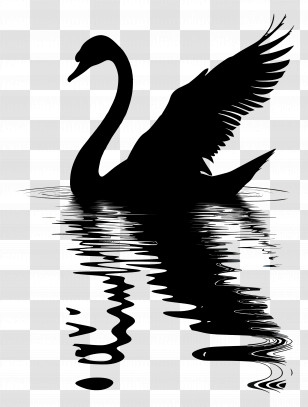Swan Silhouette - Black Swan Silhouette With Reflective Water Transparent PNG