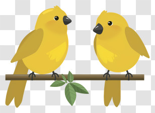Yellow Birds - Pair Of Yellow Birds Illustration Transparent PNG