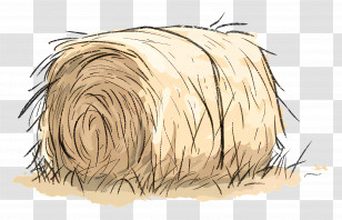 Hay Bale - Hay Bale Illustration For Farm Concept Transparent PNG