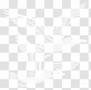 Summer - White Dove Silhouette Design Representing Peace Transparent PNG