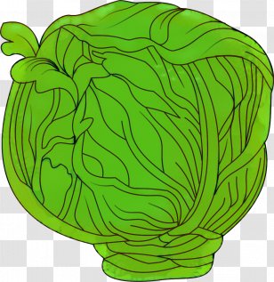 Green Leaf Background - Pen - Romaine Lettuce Brassica Transparent PNG
