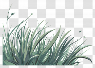 Lawn Grass - Illustration Of Wild Green Grass Transparent PNG