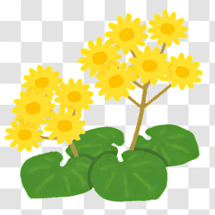 Flower - Yellow Flowers With Green Leaves Transparent PNG