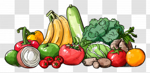 Vegetables Fruits - Fresh Vegetables In Artistic Illustration Transparent PNG