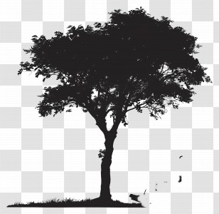 World Elder Abuse Awareness Day - Black Silhouette Illustration Of A Tree Transparent PNG