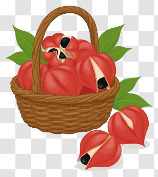 Guarana In Woven Basket - Basket Of Red Fruits Transparent PNG