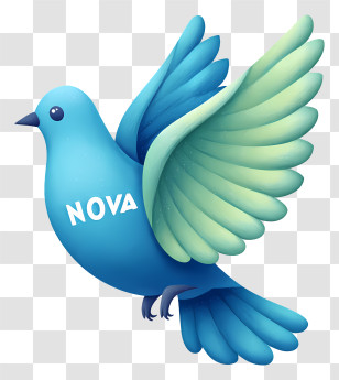 Nova Logo - Blue Dove NOVA Logo Transparent PNG