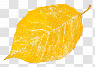 Leaf Drawing - Yellow Autumn Leaf Transparent PNG