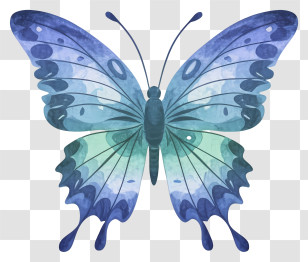 Watercolor Illustration - Blue Butterfly Illustration With Intricate Design Transparent PNG