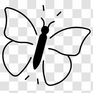 Butterfly - Minimalist Butterfly Outline Drawing Transparent PNG