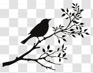 Bird Branch Silhouette - Silhouette Of Bird Perched On Branch Transparent PNG