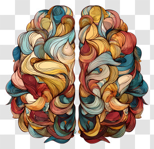 Brain Symbol - Colorful Brain Illustration For Creativity Concept Transparent PNG