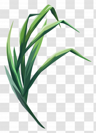 Grass Blade - Green Grass Leaves Illustration Transparent PNG