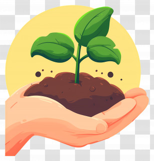 Hand Holding Soil - Sprout In Hand With Yellow Background Transparent PNG