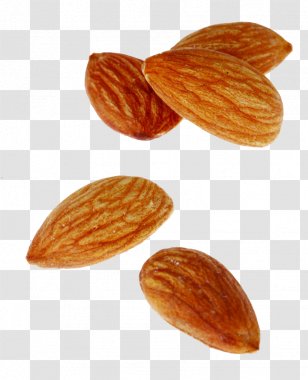 Nut Almond Apricot Kernel Oil - Floating Almonds Transparent PNG