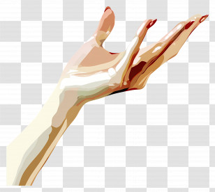 Female Hand - Open Hand Gesture Illustration Transparent PNG