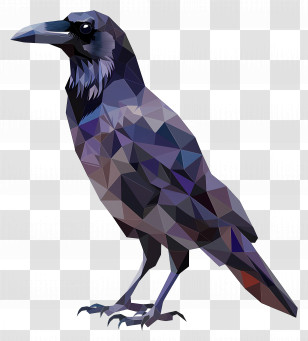 Crow - Low Poly Geometric Raven Illustration Transparent PNG