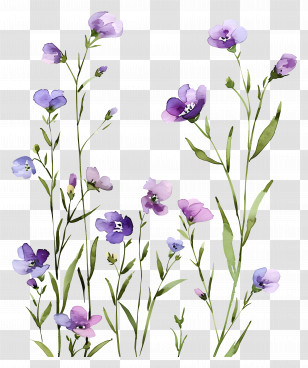 Flower Background - Watercolor Illustration Of Purple Blossoms With Greenery Transparent PNG