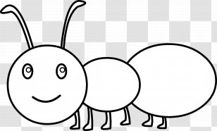 Anteater Coloring Book Drawing Clip Art - Cartoon - Ants Transparent PNG