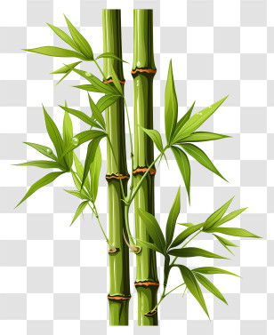 Hand Drawn Bamboo Stem - Tropical Green Bamboo Plant Stalks Transparent PNG