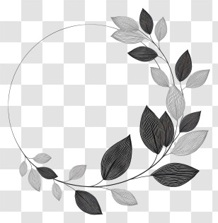 Circle Frame - Monochrome Leaf Circle Design Transparent PNG