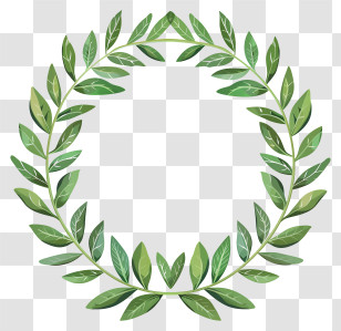 Laurel Wreath - Green Leaf Wreath Design Transparent PNG