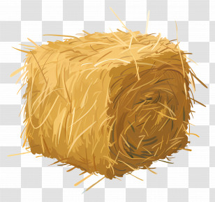 Hay - Bale Of Hay Illustration For Farm Decor Transparent PNG