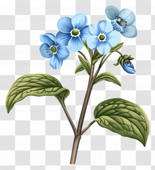 Blue Flowers - Beautiful Blue Flowers Transparent PNG