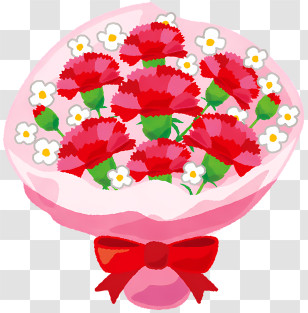 Carnation Flower - Beautiful Flower Bouquet Transparent PNG