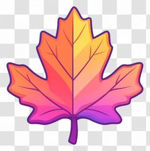 Autumn Maple Leaf - Bright And Colorful Autumn Maple Leaf Illustration Transparent PNG