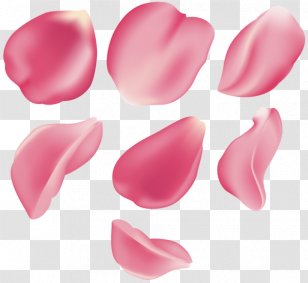 Rose Magenta Clip Art - Wedding Ring - Flower Petals Transparent PNG