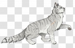 Whiskers Wildcat Dog Mammal - Organism - Cat Transparent PNG