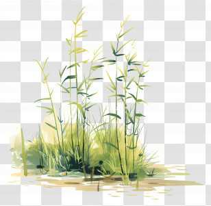 Bamboo Grass - Green Bamboo Plant Illustration Transparent PNG