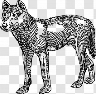 Dingo Dog Clip Art Transparent PNG