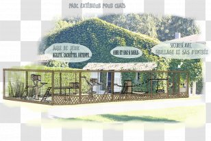 Cattery Kennel Chenil De La Conque Hautes-Alpes - Property - Cat Transparent PNG