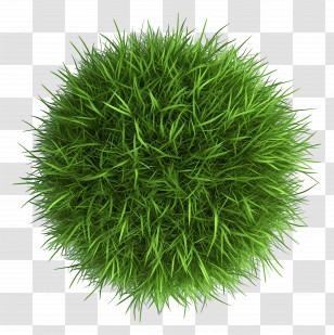 Grass Top View - Green Grass Sphere Illustration Transparent PNG