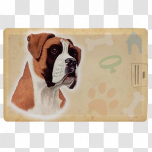 Boxer French Bulldog Dog Breed Bull Terrier - Fawn - Pillow Transparent PNG