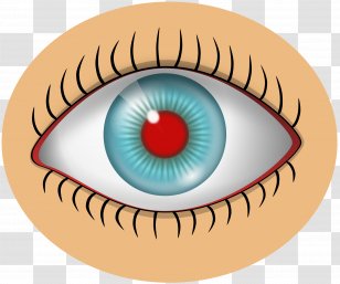 Eye Color Iris Clip Art - Flower - Eyes Transparent PNG