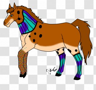Mule Foal Stallion Mare Colt - Pack Animal - Mustang Transparent PNG