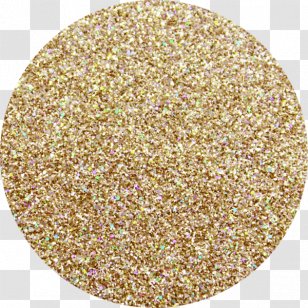 Kitten Cat Litter Trays Ragdoll Pellet Fuel Felidae Transparent PNG