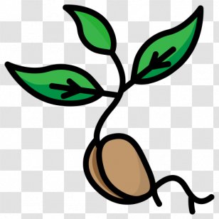 Gazebo Plant Stem Leaf Labor Clip Art - Tool - Flower Transparent PNG