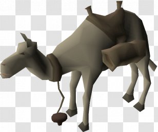 3d Background - Livestock - Bovine Modeling Transparent PNG
